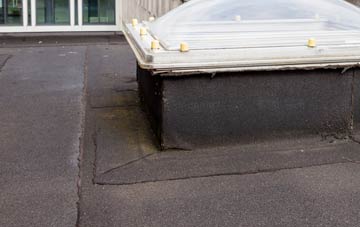 disadvantages of Haccombe flat roofs