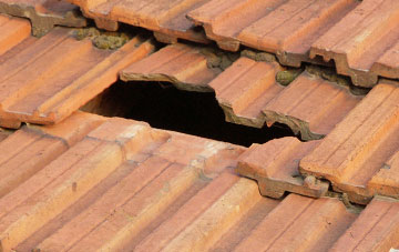 roof repair Haccombe, Devon